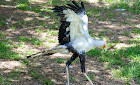 San Diego Zoo Safari Park