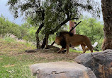 San Diego Zoo Safari Park