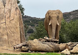 San Diego Zoo Safari Park