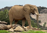 San Diego Zoo Safari Park