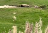 San Diego Zoo Safari Park