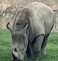 San Diego Zoo Safari Park