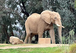 San Diego Zoo Safari Park