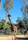 San Diego zoo