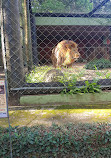 Parque Zoológico Municipal de Bauru