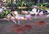 Parque Zoológico Municipal de Bauru