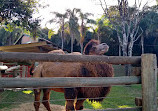 Parque Zoológico Municipal de Bauru