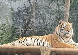 Parco zoologico municipale di Bauru
