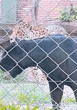 Parque Zoológico Municipal de Bauru