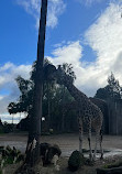 Melbourne Zoo