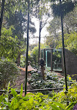 Melbourne Zoo