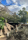 Melbourne Zoo