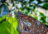 Melbourne Zoo