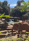 Melbourne Zoo