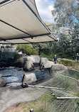 Melbourne Zoo