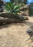 Melbourne Zoo