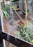 Melbourne Zoo Bong Su Room