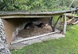 Zoo Zürich