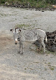 Zoo Zürich