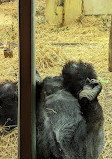 Zoo Zürich