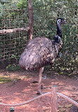 Zoo Zürich