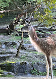 Zoo Zürich