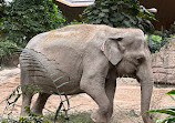 Zoo Zürich