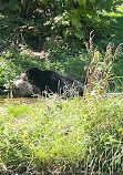 Zoo Zürich