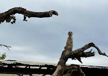 Zoo Zürich