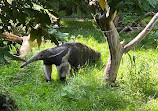 Zoo Zürich