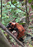 Zoo Zürich