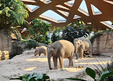 Цюрихский зоопарк