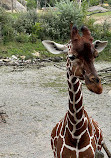 Zoo Zürich