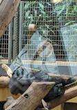 Zoo Zürich