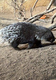 Zoo Zürich