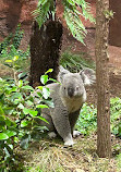 Zoo Zürich