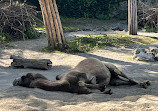 Zoo Zürich