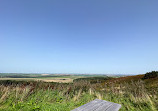 Black Down Stone Circle