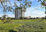 KR Puram Lake Park