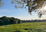 KR Puram Lake Park