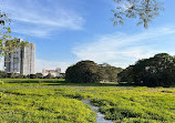 KR Puram Lake Park