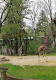 Hellabrunn Zoo