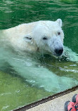 Hellabrunn Zoo