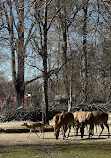 Hellabrunn Zoo