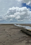 Deception Bay Dog Beach