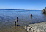 Deception Bay Dog Beach