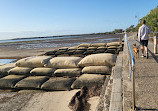 Deception Bay Dog Beach