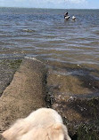 Deception Bay Dog Beach