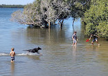 Deception Bay Dog Beach