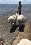 Deception Bay Dog Beach